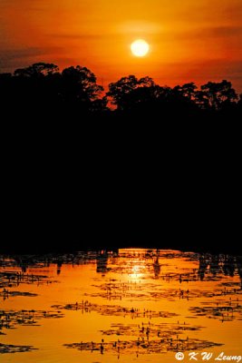 Sunset @ Ankor Wat