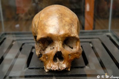 Skull @ Tuol Sleng Genocide Museum