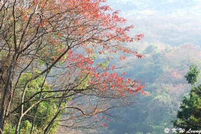 Shimen National Forest Park (石門國家森林公園)