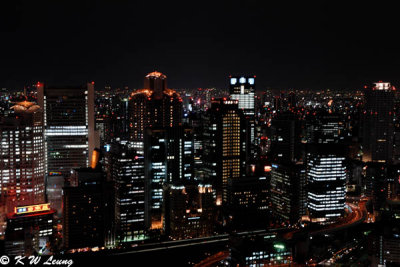 Night Scene from Umeda Sky Building DSC_7570