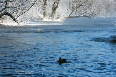 2009_01_11_3755_800.jpg