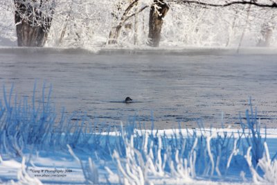 2009_01_10_3701_800.jpg