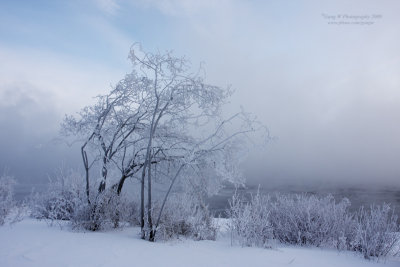 2009_01_16_3947_800.jpg