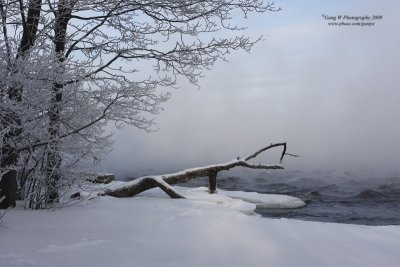 2009_01_16_4060_800.jpg