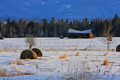 2009_01_06_3600_800.jpg