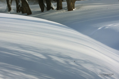 2009_02_02_4548_1000.jpg