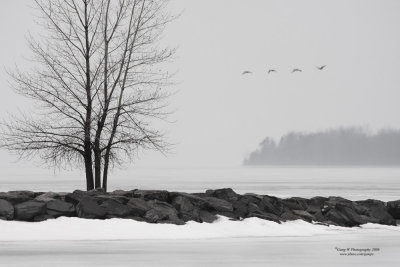 2009_03_27_7106_1000.jpg