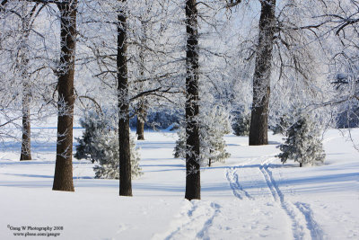 Ice_fog080223_2_800.jpg