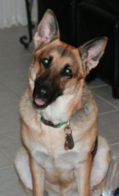 Lilly.jpg