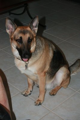 Lilly_2.jpg