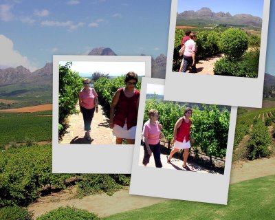 Stellenbosch Beulla Levinsohn  & Sue Dewas