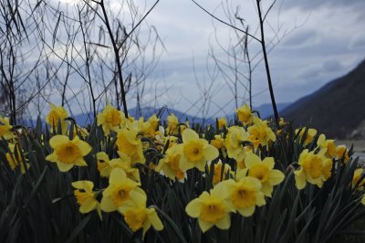 April22009 175.jpg