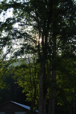 g1/75/452075/3/97849937.jVQzXsiW.jpg
