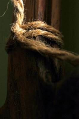 light on twine.jpg