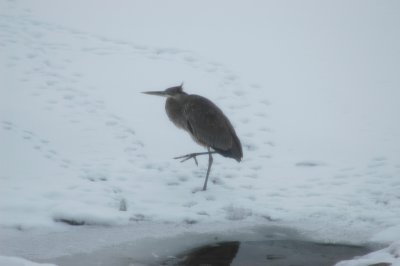DSC_0362.jpg
