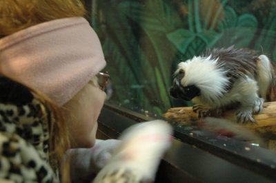 monkey and emma.JPG