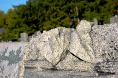 stone leaves.jpg