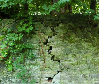 crack in the wall.jpg