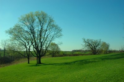 tree shadow.jpg