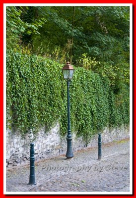 DSC_3374A.jpg