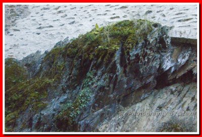 DSC_4489A.jpg