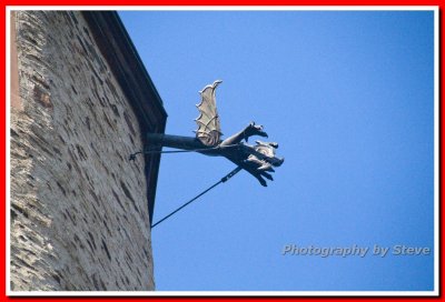 DSC_4497A.jpg