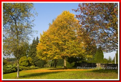 Mardasson Memorial - World War 2
