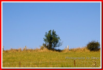 View from the Mardasson Memorial