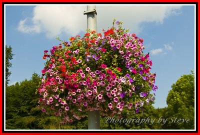 DSC_8399A.jpg