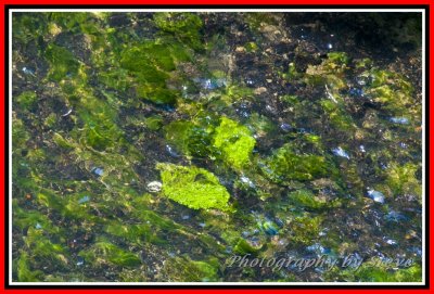 DSC_8403A.jpg