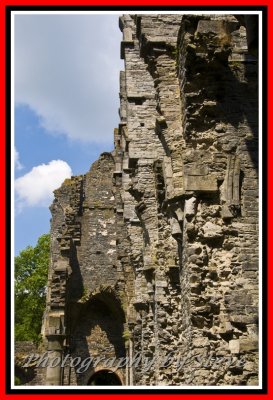 DSC_8439A.jpg