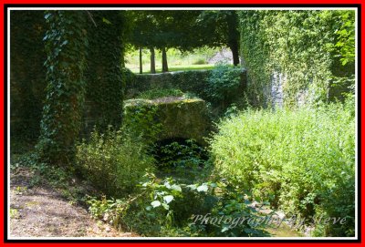 DSC_8454A.jpg