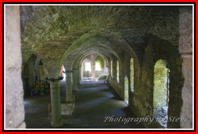 DSC_8457A.jpg