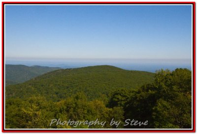 DSC_0667A.jpg