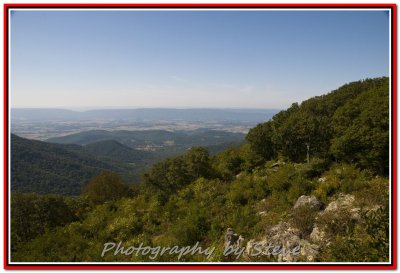 DSC_0684A.jpg
