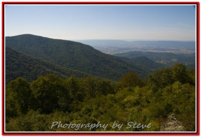DSC_0686A.jpg