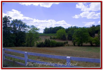 Barboursville Wine