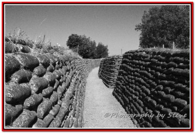 DSC_0386A bw copy.jpg