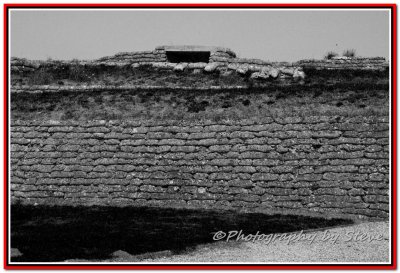 DSC_0419A copy.jpg