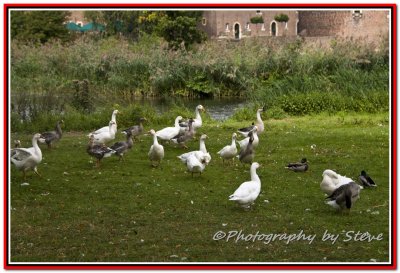 DSC_0676A.jpg