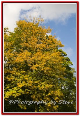 DSC_1069A.jpg