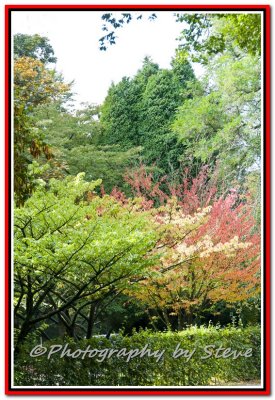 DSC_1070A.jpg