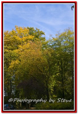 DSC_1072A.jpg