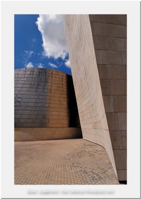Bilbao - Guggenheim Museum 9