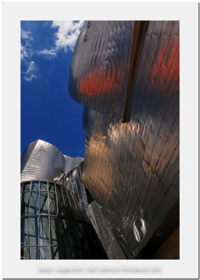 Bilbao - Guggenheim Museum 12