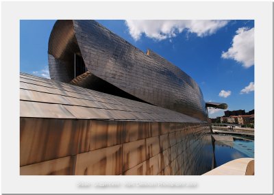 Bilbao - Guggenheim Museum 14