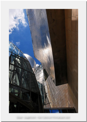 Bilbao - Guggenheim Museum 17