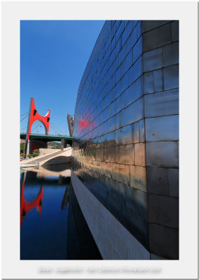 Bilbao - Guggenheim Museum 19