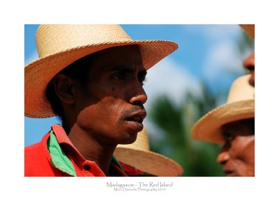 Madagascar - The Red Island 251