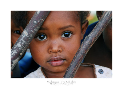 Madagascar - The Red Island 260